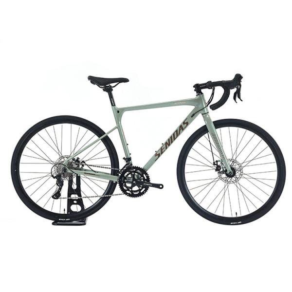 Quality 18 Speed Copy Carbon Welding Frame Road Bike Disc Brake Performance and Comfort for sale