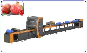 Buy cheap Pomegranate Fruit Sorting Machine Electric Drive High Precision 4 Channel product