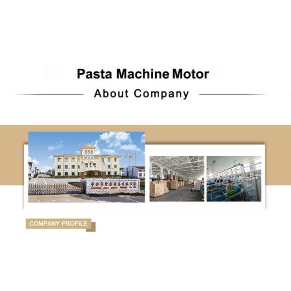 Shule Removable Pasta Roller Motor Single Phase Totally Enclosed