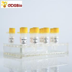 SYBR Green qPCR Mix with ROX for ABI Roche DNA real time PCR