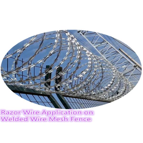 Eco Friendly Cross Razor Wire Hot Dipped Galvanized For Fence 5-25kg / Roll