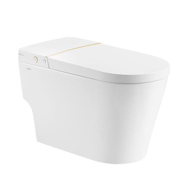 Quality Knob Control Ceramic Modern Smart Toilet , Siphonic jet Intelligent Toilet Bowl for sale