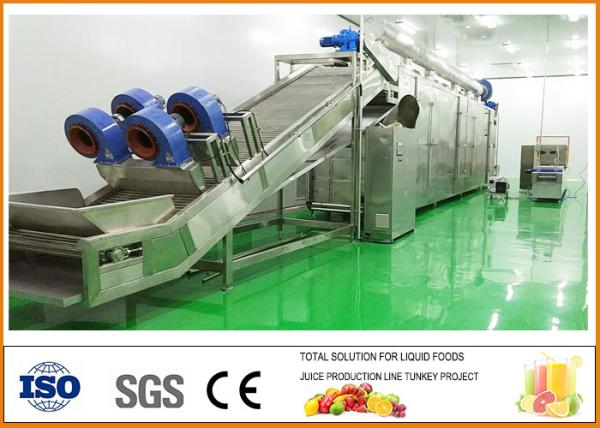 Quality Turnkey Pear Dried Fruit Production Line ISO9001 Certification for sale