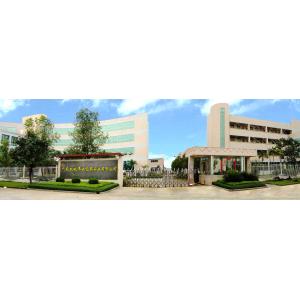 Guangdong Dadi Weiye Packing Industrial Co., Ltd.