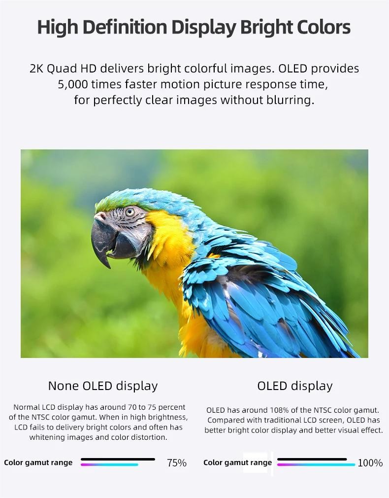 55inch 10Bit Color Depth Transparent Oled Monitor / Clear Oled Signage Perfect For And Efficiency