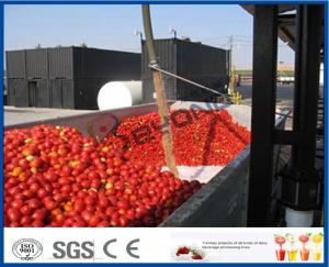 China Tomato Sauce Making Machine Tomato Paste Production Line With Hot / Cold Break System on sale