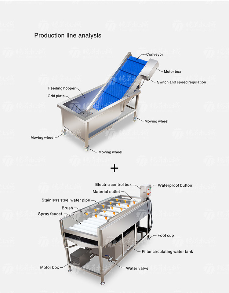 Revolutionize Your Production Process with Our Fruit And Vegetable Processing Line
