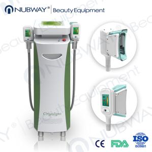 800W power fat removal Cryolipolysis Machine body slimming machine