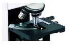 Green Filter Laboratory Achromatic Objective Microscope Quadruple Nosepiece