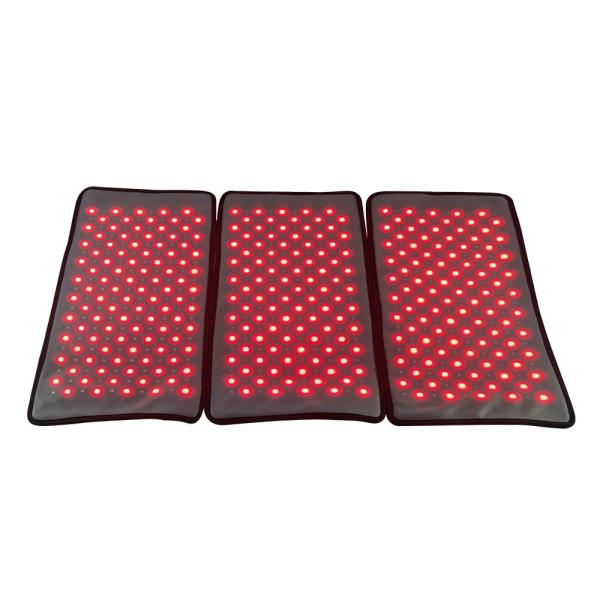 Quality 3 In 1 Removable Body Sculpting Weight Loss Red Light Therapy Machine 660nm 850nm for sale