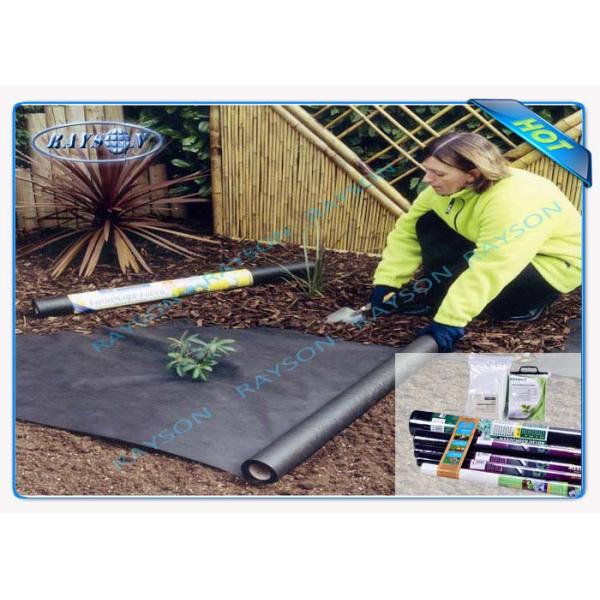 9GSM To 150GSM Soft Multipurpose Pp Spunbond Nonwoven Fabric in White