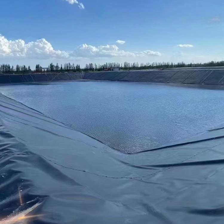 Modern Design 2mm HDPE Double Smooth Geomembrane for Biogas Digesters Double Smooth