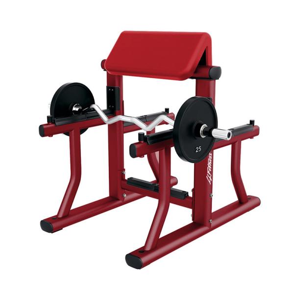 Quality Three Layers Powder Coating Arm Curl Bench Durable OEM ODM Service Acceptable for sale