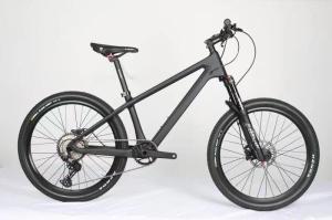 20er MTB Mountain Childrens Disc Brake Bikes Shimano 10 Speed