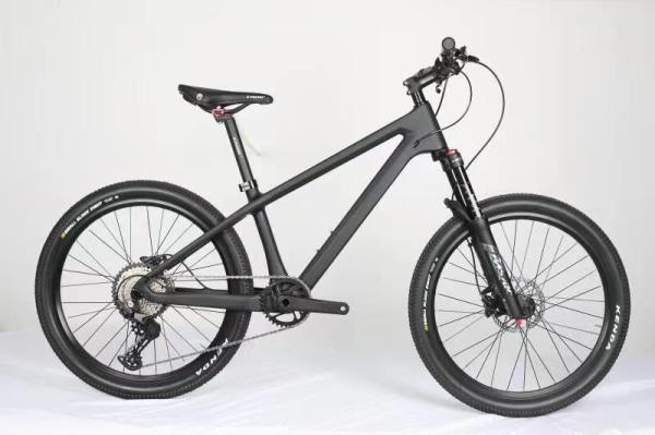 Quality 20er MTB Mountain Childrens Disc Brake Bikes Shimano 10 Speed for sale
