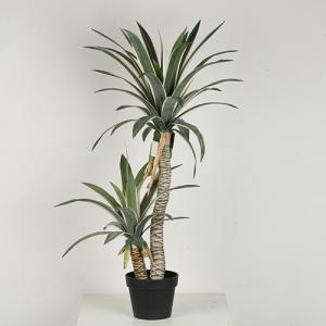 Buy cheap High Fidelity Artificial Dracaena Tree With White Side product