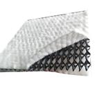 Rapid Construction Geonet Geotextile Composite Drainage Net for Artificial Turf