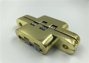 Hidden Door Hinges