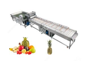 China Large Output Pineapple Cleaning Machine Fruit Processing Equipment2T/H on sale