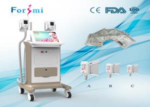 Buy cheap non surgical effective result fat freezing cryolipolysis machine for sale product
