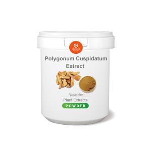 China 100% Natural Polygonum Cuspidatum Extract 98% Resveratrol Free Samples on sale