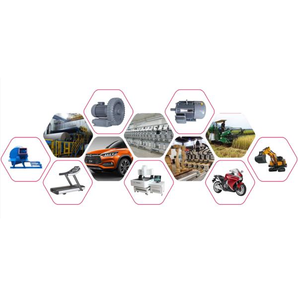 Bearing Manufacturers Double Row Self Aligning Bearings 1311 with Vibration Value V1 V2 V3