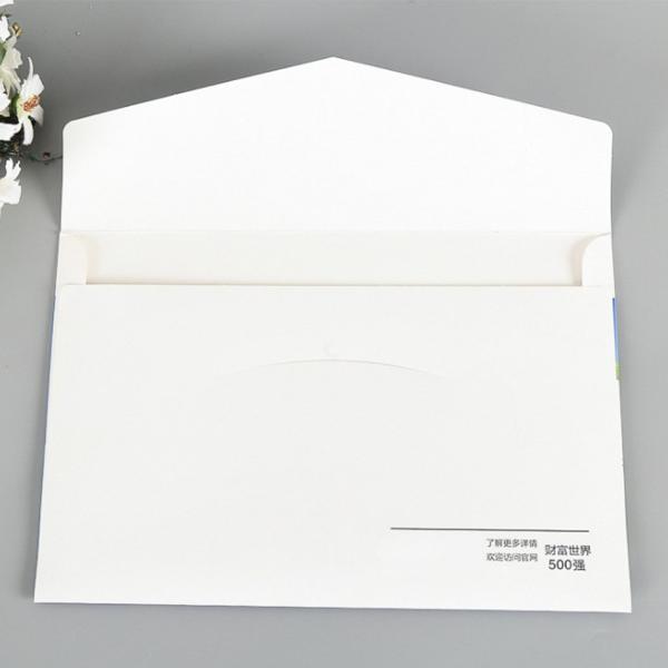 Quality Custom Folder Brochure/Book/Catalog Printing/Paper Envelope Printing for sale