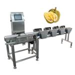 High Speed High Precision Automatic Docking Line Multi Stage Sorting Durian Pulp