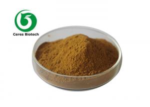 China Healthcare Skincare ISO 10/1 Cactus Extract Powder on sale