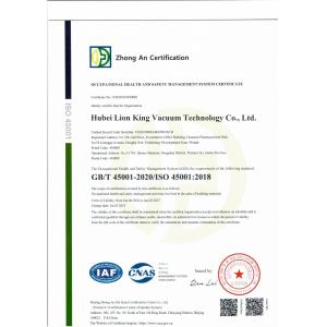 Hubei Lion King Vacuum Technology Co., Ltd. Certifications