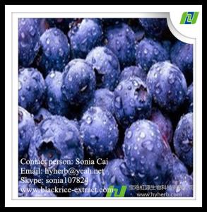 China Best quality purity fresh bilberry extract 5% 10% on sale