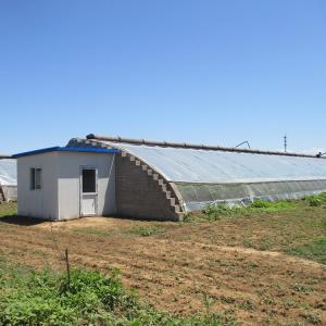 Buy cheap Tomato Passive Solar Greenhouse With Electric Roll Up Ventilation product