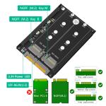 2 In 1 Combo PCI-E M.2 NVME SSD And B&M Key SSD To SFF-8639 U.2 Adapter