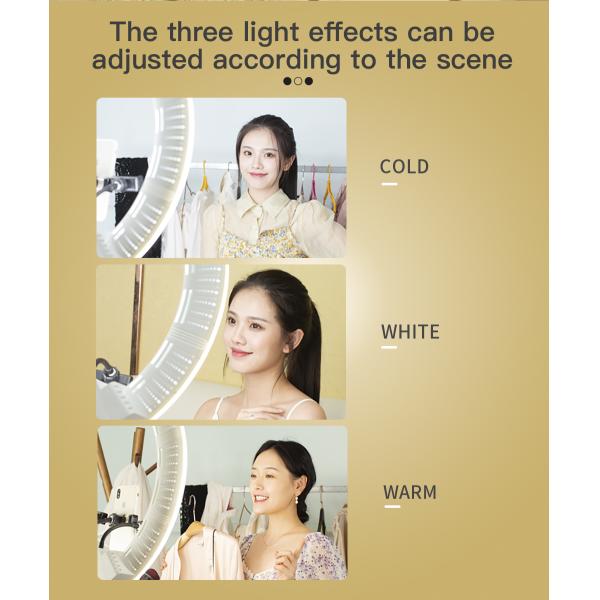 Digital Cameras Led Fill Lights 100watt Ring Light 22 Inch With 260cm Tripod Stand For Photo Studio Accessories