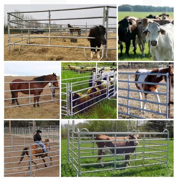 Race Bow Fence Panels Galvanized Portable Cattle Fence Panels Man Gate For Corral Farm Fence Yard