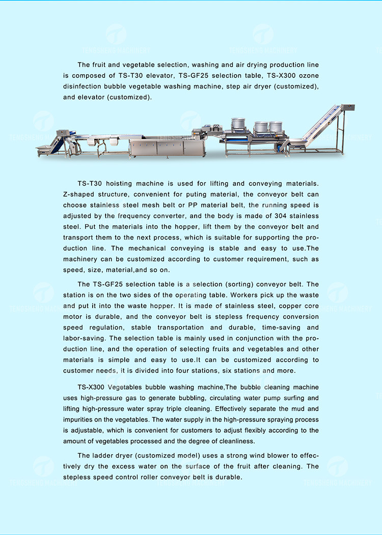 Multifunctional Fruit Sorting Machine Vegetable Washing Drying Production Line