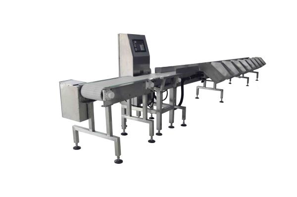Quality Bucket System SUS304 Weight Grader Machine 3000g Fish Grader machine for sale