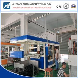 Buy cheap Automatic Plastic Thermoforming Machine Servo Motor Control For Chocolate Container product