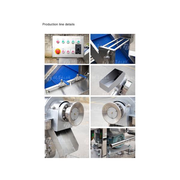 Pears Oranges Papaya Fruit Juice Processing Line Ozone Disinfection