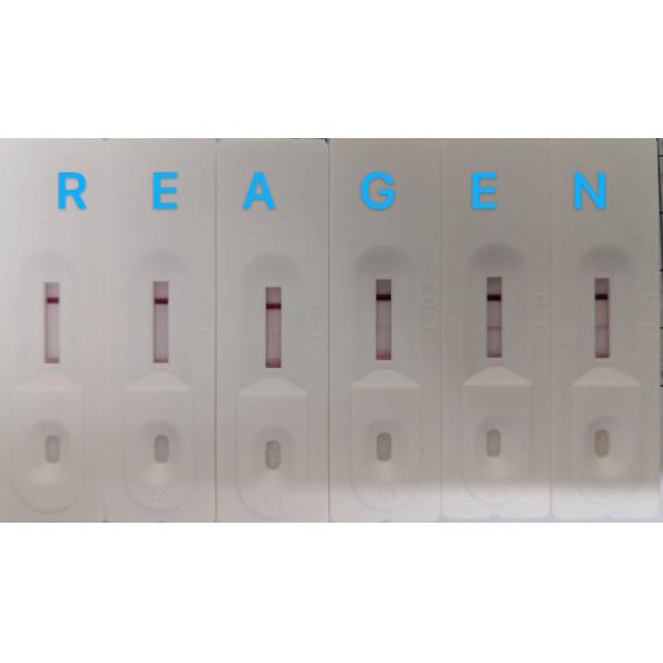 RNS92048 40 Determinations Blood IgG IgM Rapid Test Kit