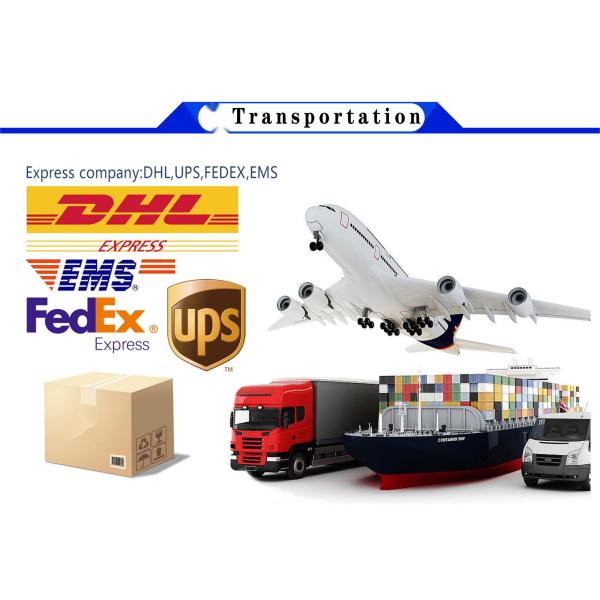 4BT 6BT 6D102 Diesel Engine Intake Valve Exhaust Valve 4995554 3901117 3920867 3920868