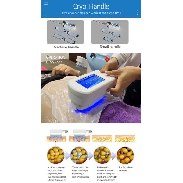 COWEROAY Cryolipolysis Slimming Machine 100KPA Fat Freezing Cryolipolysis Machine