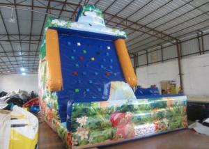 China Amument Park Inflatable Rock Climbing Wall Mountain Sports Games 5 X 4 X 6m on sale