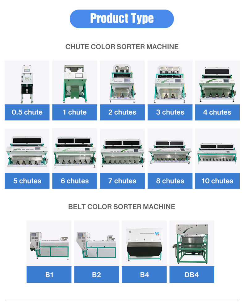 Wenyao Hazelnut Color Sorting Machine Intelligent Nuts Color Sorter Equipment