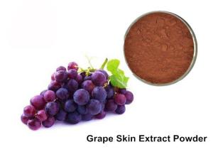 China 25% Anthocyanins Pure Grapeseed / Grape Skin Extract Powder on sale