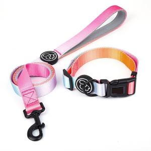 Polyester cute dog leash and collar set Anti Break Metal Buckle Lable With Handle
