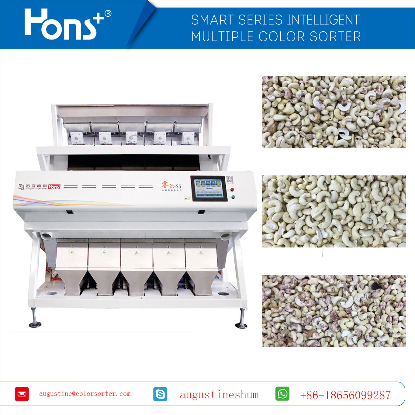 Steel Frame Model S5 Cashew Nuts Kernel Color Sorter Nuts Sorting Machine