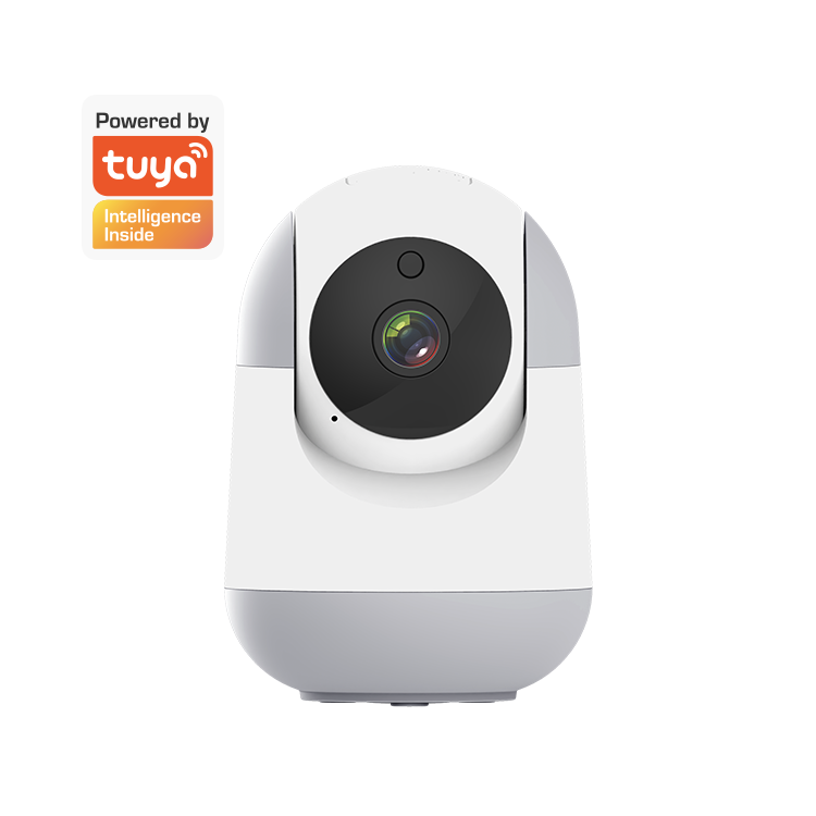 Security Smart Wifi Ptz Indoor Camera Recording Video Wireless Cloud Camera Pan/Tilt Camera