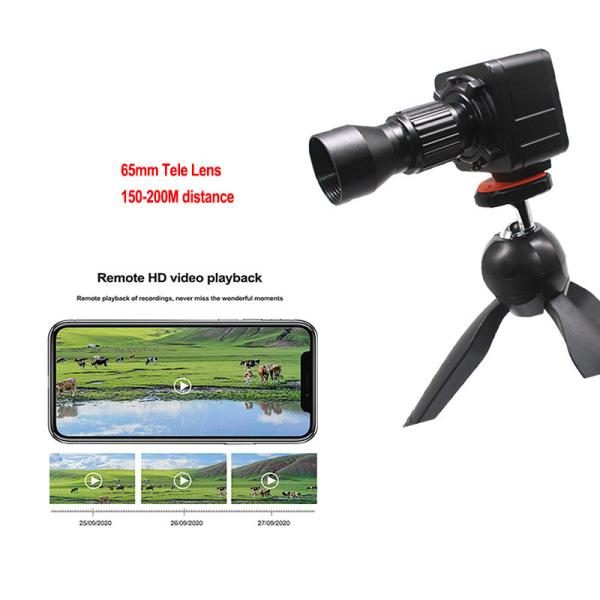 Quality P2P 150M Wireless Spy Camera IP Network Surveillance For Wildlife Observation for sale