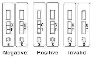 Bullfrog Antigen Rapid Test Kit Colloidal Malachite Green Antigen Test Card